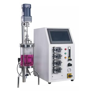 stiklinis fermentų reaktorius