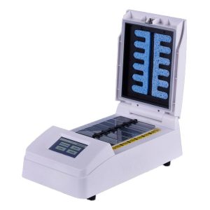 hibridizacijos sistema