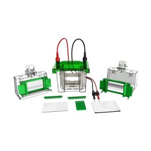 mini vertikali elektroforezės kamera