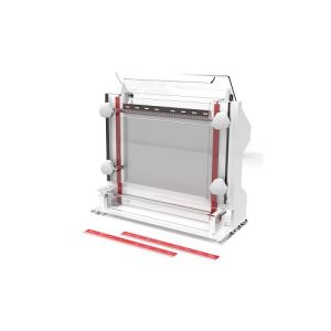 nukleino rūgšties sekos elektroforezė ląstelė