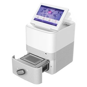 realaus laiko fluorescencinė qpcr