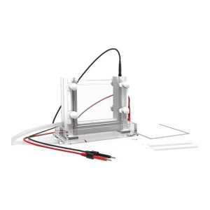 vertikali elektroforezės kamera